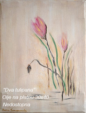 Dva tulipana